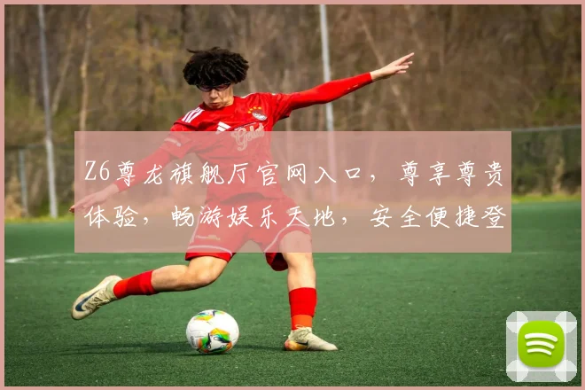 Z6尊龙旗舰厅官网入口，尊享尊贵体验，畅游娱乐天地，安全便捷登录，一触即达