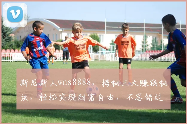 斯尼斯人wns8888，揭秘三大赚钱秘诀，轻松实现财富自由，不容错过